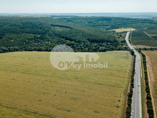Terenuri agricole, 300 ari, traseul M2 Chișiău – Orhei, 300 000 € foto 4
