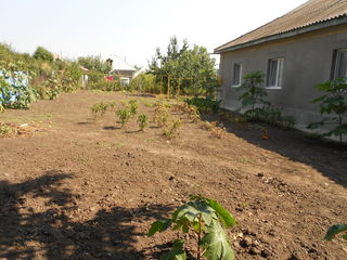 Vînd casă suburbie ieftin foto 4