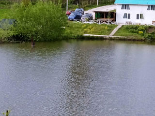 Pescuit si odihna pe malul iazului рыбалка и отдых на берегу озера foto 5