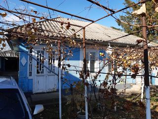 Продаю 2 жилых дома в селе Новая Обрежа, Фалештского района. foto 1