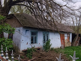 Se vinde casa în satul Pîrliț are 20 ari lîngă casă. foto 4