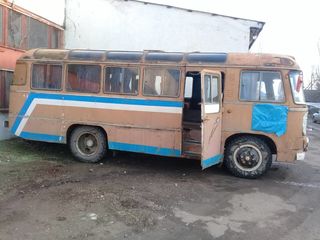 Паз foto 2