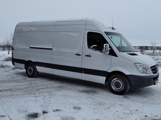 Mercedes MAXI 316 foto 6