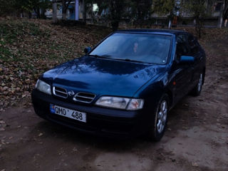 Nissan Primera foto 3