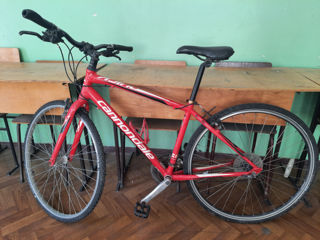 Bicicletă " cannondale " foto 2