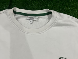 Lacoste colectie noua original foto 2