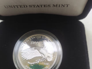 Американский платиновый орёл и серебряный крюгеррэнд
