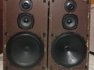 Boxe HI-FI HZK 12031 foto 0