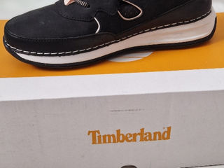 Timberland foto 1