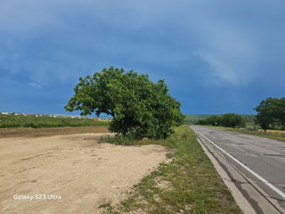 Se Vinde 1.15 ha prima linie Tohatin 8km de la Ciocana foto 7