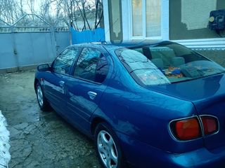 Nissan Primera foto 6