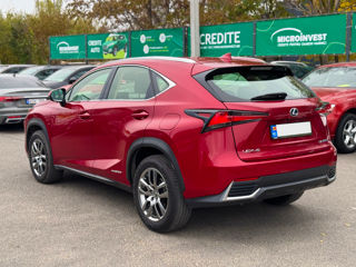 Lexus NX Series foto 6