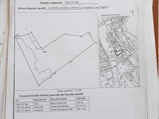 Baza Ungheni! Teren pentru constructie! imobil comercial , depozit foto 10