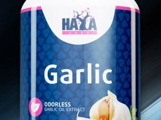 Odorless garlic чеснок без запаха