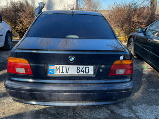 BMW 5 Series foto 4