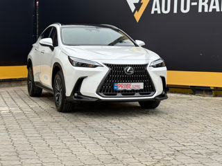 Lexus NX Series foto 3