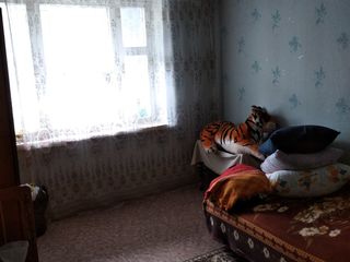 Продам квартиру в хорошем состоянии Бессарабка , Центр foto 5