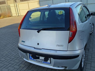 Fiat Punto foto 3