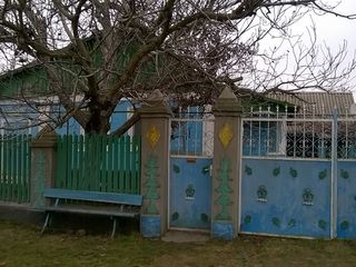 Продаю дом в селе Ботнарешты, Ново-Аненского района foto 1
