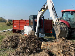 Bobcat - mini-excavator- kamaz- excavator- basculanta- evacuator- încărcări descărcări palete foto 3