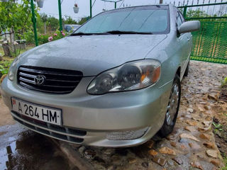 Toyota Corolla foto 4