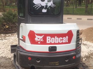 Servcii bobcat foto 4