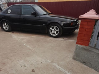 BMW 5 Series foto 6