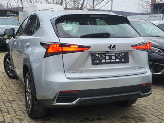 Lexus NX Series foto 15