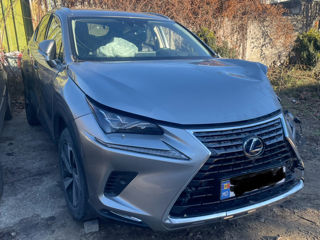 Lexus NX Series