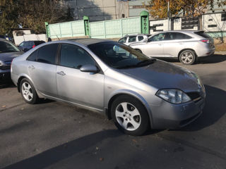 Nissan Primera foto 6