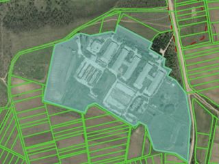 Ferma de vaci, 12,7 hectare cu 10.500 m2 foto 12