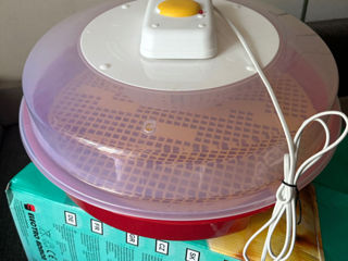 Incubator