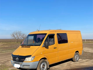 Mercedes Sprinter 313 foto 2