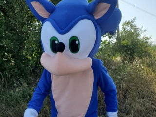 Costum Sonic