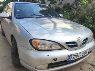 Nissan Primera foto 1