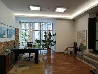 Chirie Oficiu 341 m2, A.Puskin foto 5