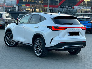 Lexus NX Series foto 3