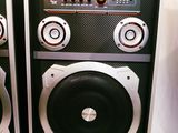 Sistem acustic karaoke Ailiang USBFM 1100DT cu garantie 1 an si cu livrare gratuita foto 8