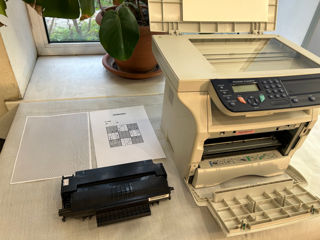 Xerox Phaser 3100 foto 3