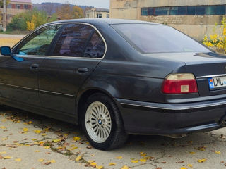 BMW 5 Series foto 5