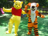 Mickey si Minnie mouse, Panda, Winnie the Pooh, Tigra,Микки и Минни маус,  Панда, Винни-Пух, Тигра foto 5