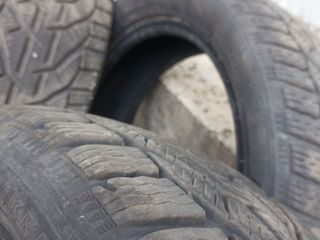 205/50 R 17 Iarna