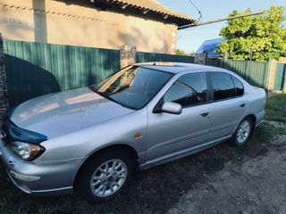 Nissan Primera foto 2