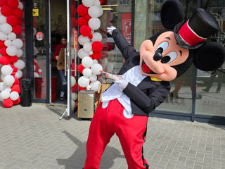 Mickey și Minnie Mouse / Микки и Минни маус аниматоры / animatori mascote Moldova foto 6