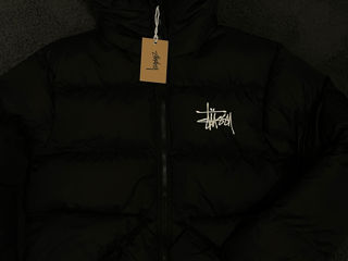 Scurta Stussy