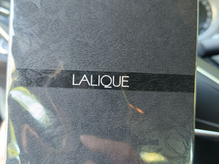 Lalique Encre Noire 100 Ml Nou