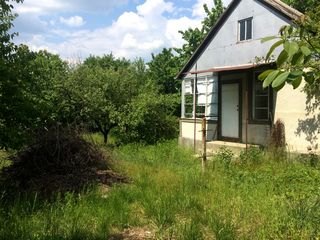 Vila de vara cu teren Dumbrava (Mugurel) 6 sote 12500 euro! foto 2