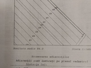 Teren agricol  5 ari foto 3