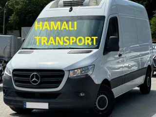 Hamali transport транспорт грузчики,mobila,materiale de constructi,вывоз мусора, foto 2