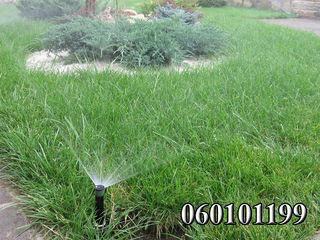 Системы Автоматического полива газонов, клумб, огорода! Обслуживание систем!  ("Rain Bird") foto 3